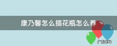 康乃馨怎么插花瓶好看图片 康乃馨怎么插花瓶怎么养