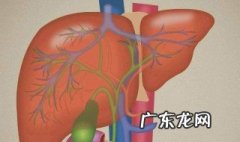 肝火旺怎么调理最快的方法是什么 产妇肝火旺怎么调理最快的方法是什么