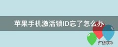 苹果手机激活锁id忘记了怎么办 苹果手机激活锁ID忘了怎么办