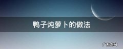 鸭子炖萝卜怎么做好吃 鸭子炖萝卜的做法