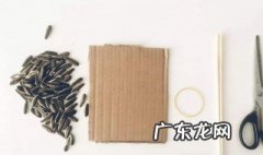 怎么能快速剥瓜子皮 怎么剥瓜子皮最快
