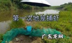 地笼捕虾技巧 地笼捕虾视频大全播放