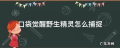 口袋觉醒野生精灵刷新规律 口袋觉醒野生精灵怎么捕捉