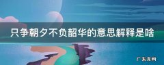 只争朝夕 不负韶华 是什么意思 只争朝夕不负韶华的意思解释是啥