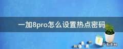 一加8pro怎么设置热点密码 一加8手机热点密码怎么查看