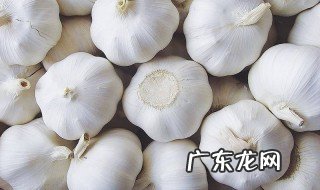 大蒜怎么水培植 大蒜水培植物