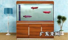 鱼缸水混浊怎么办 鱼缸水混浊怎么办小妙招