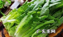 油麦菜怎么做才好吃又有营养又简单 油麦菜怎么做才好吃