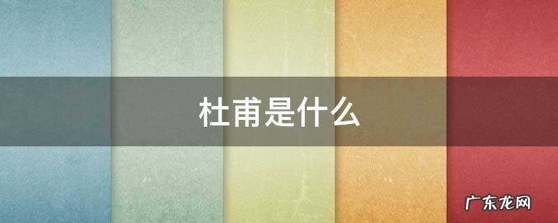杜甫是什么 杜甫是什么主义诗人