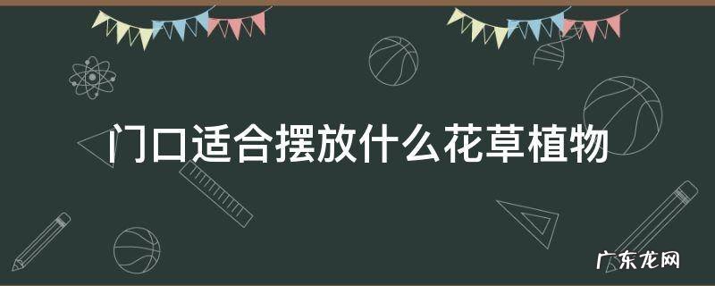 门口适合摆放什么花草植物 适合摆放门口的花卉