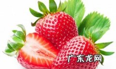 几月摘草莓最便宜 几月摘草莓
