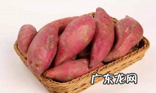 夏季红薯怎么保存不会坏 夏季红薯怎么保存