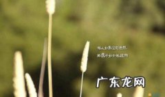 不安于现状经典句子 不安于现状经典句子摘抄