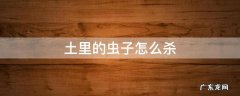 怎样杀灭土里的虫子 土里的虫子怎么杀