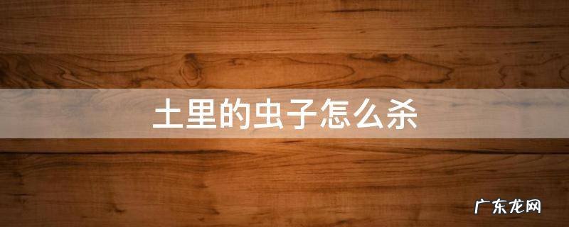 怎样杀灭土里的虫子 土里的虫子怎么杀