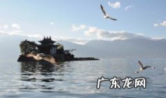 洱海为什么磷含量高 洱海的水为什么那么脏