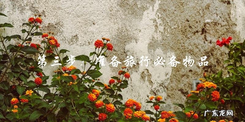 他给自己的儿子做了一件什么事情?让人想不到的结局即将揭晓!