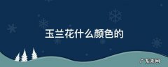 玉兰花什么颜色的 玉兰花什么颜色的好