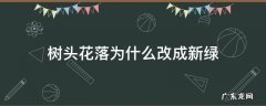 到底是树头新绿还是树头花落 树头花落为什么改成新绿