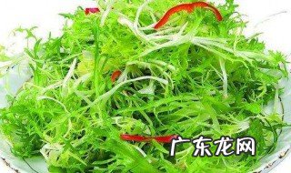 苦菊怎么使用 苦菊怎么做好吃