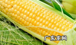 减肥时可以吃玉米棒吗 减肥可以吃玉米棒棒吗