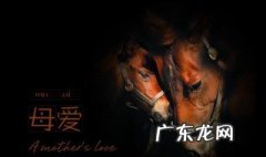 写母亲的简短的现代诗 写母亲的简短的现代诗繁星