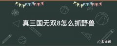 真三国无双8捕兽 真三国无双8怎么抓野兽