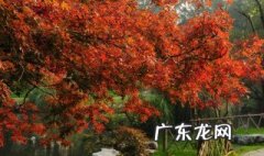 关于描写秋天的好词好句有哪些 关于描写秋天的好词好句好段大全