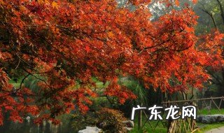 关于描写秋天的好词好句有哪些 关于描写秋天的好词好句好段大全