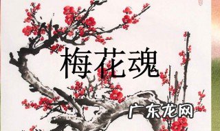 梅花魂中的魂是什么意思啊解释 梅花魂中的魂是什么意思啊