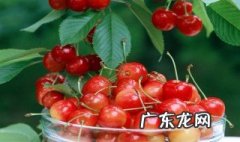 孕妇吃樱桃有什么用 孕妇吃樱桃有什么作用