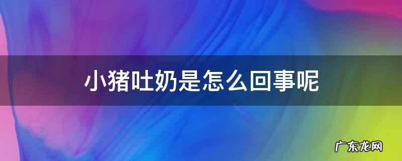 小猪吐奶是怎么回事呢 小乳猪吐怎么回事