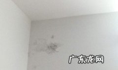 墙角发霉了还能住人吗 墙角有发霉的怎么办