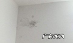 水泥墙上很脏怎么办 水泥墙上很脏怎么办小妙招