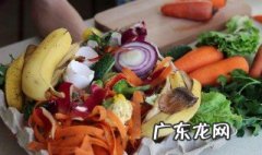 厨余垃圾最好的处理方式 厨余垃圾可以用什么方式处理