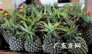 菠萝是用什么才能弄熟呀 菠萝是用什么才能弄熟呀