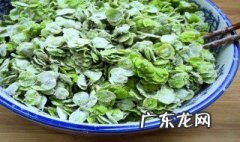榆树钱有哪些功效 榆树钱的营养价值功效
