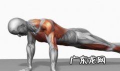 肱二头肌锻炼方法 初中生肱二头肌锻炼方法