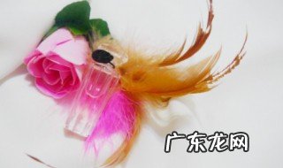 用花朵做香水怎么做 怎么用花做香水教程视频