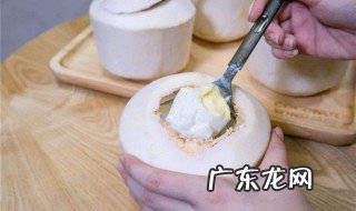 椰青肉怎么做椰奶好喝 椰青肉怎么做椰奶