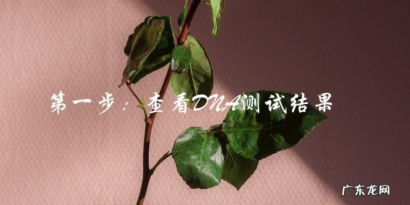 zly的孩子真正的父亲是谁?