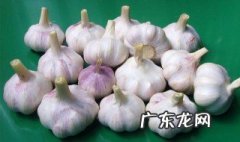 大蒜种下去是什么 大蒜种完是什么