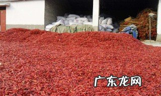 辣椒怎样储存 辣椒怎样储存保鲜视频