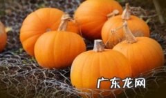 南瓜怎样催苗 南瓜怎样催苗最快