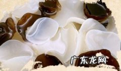玉木耳怎样食用 玉木耳怎样食用效果好