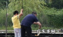 丁香酒钓什么鱼效果好一点 丁香酒钓什么鱼