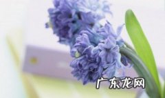 女人感慨生活不易的句子 生活不易的句子