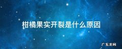 柑橘裂果是什么原因造成的 柑橘果实开裂是什么原因