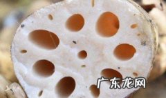 藕种子怎样种植 藕种子怎样种