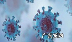 什么是新冠病毒请进行解释 什么是新冠病毒新冠病毒